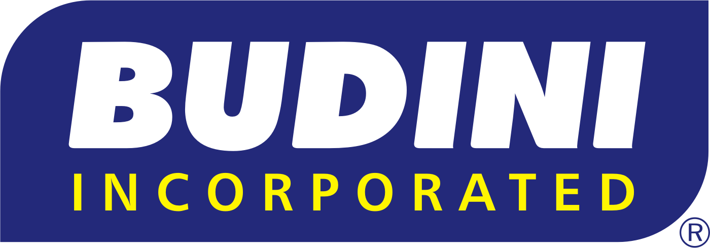 Logo Budini
